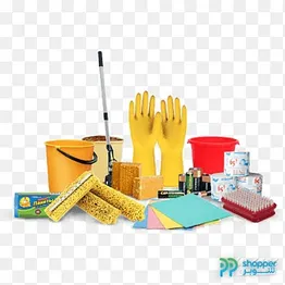 Cleaning, sterilization, and pest control service with hand tools.