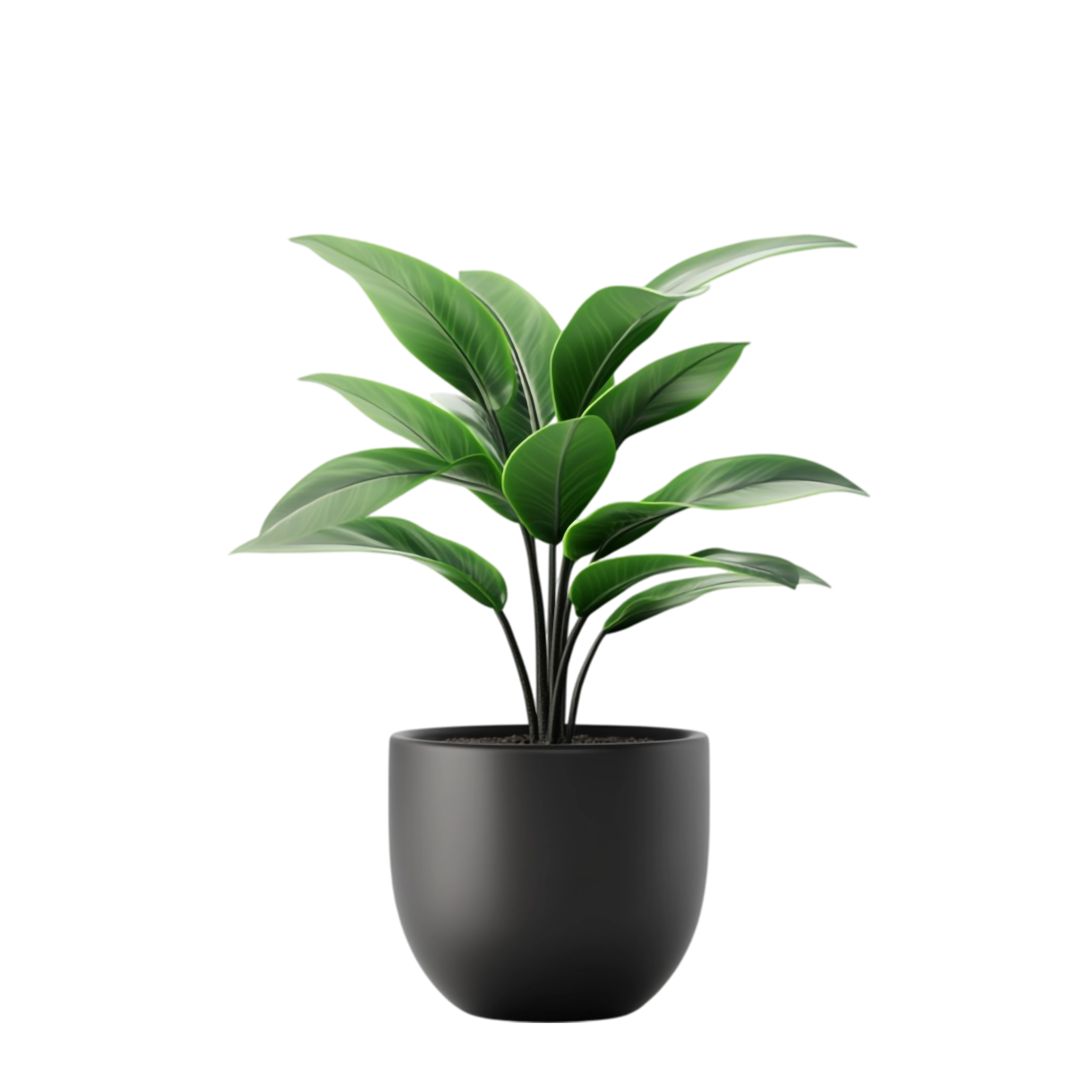 vel est - اسطوانات